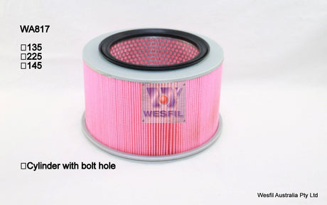 Air Filter A1441 Fits Mitsubishi WA817 - Wesfil
