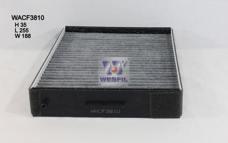 Cabin Filter RCA106P Fits Hyundai WACF3810 - Wesfil