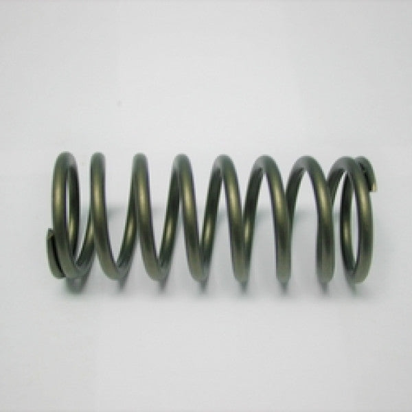Valve Spring HINO J05 J07 J08 OUTER SPRING 160-1699 - SBI