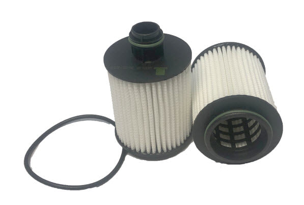 Oil Filter R2766P Holden/Opel/Saab WCO166 - Cooper