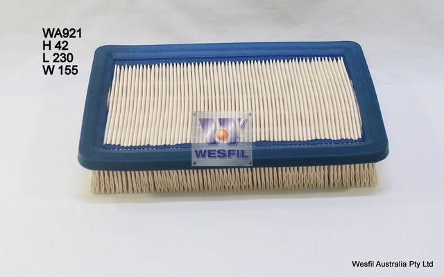 Air Filter A1317 Fits Hyundai WA921 - Wesfil