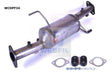 Diesel Particulate Filter (DPF) RPF237 Fits Mitsubishi WCDPF34 - Wesfil