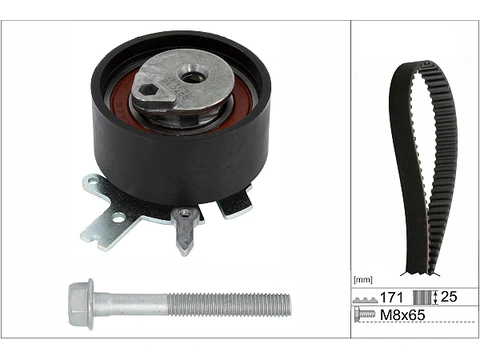 Timing Belt Kit 530072910 - INA