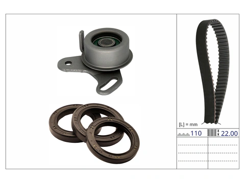 Timing Belt Kit 530089010 - INA