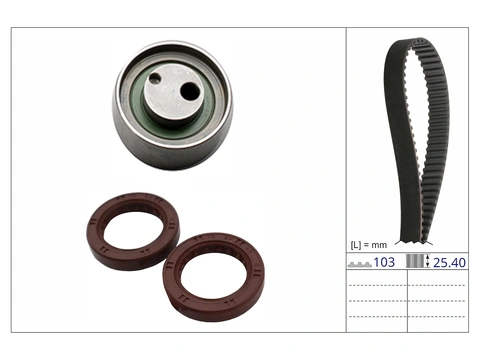 Timing Belt Kit 530091410 - INA