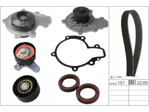 Water Pump & Timing Belt Kit 530093030 - INA
