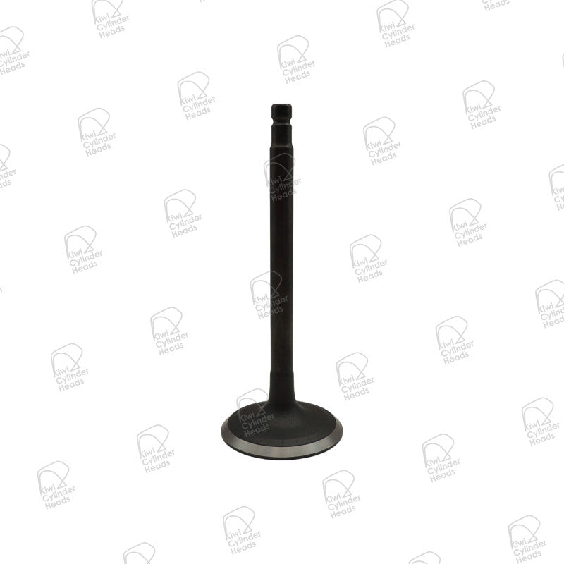 Inlet Valve for Nissan TB48DE — 53060636 — view 1