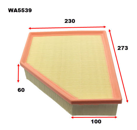 Air Filter Fits BMW/Toyota WA5539 - Wesfil