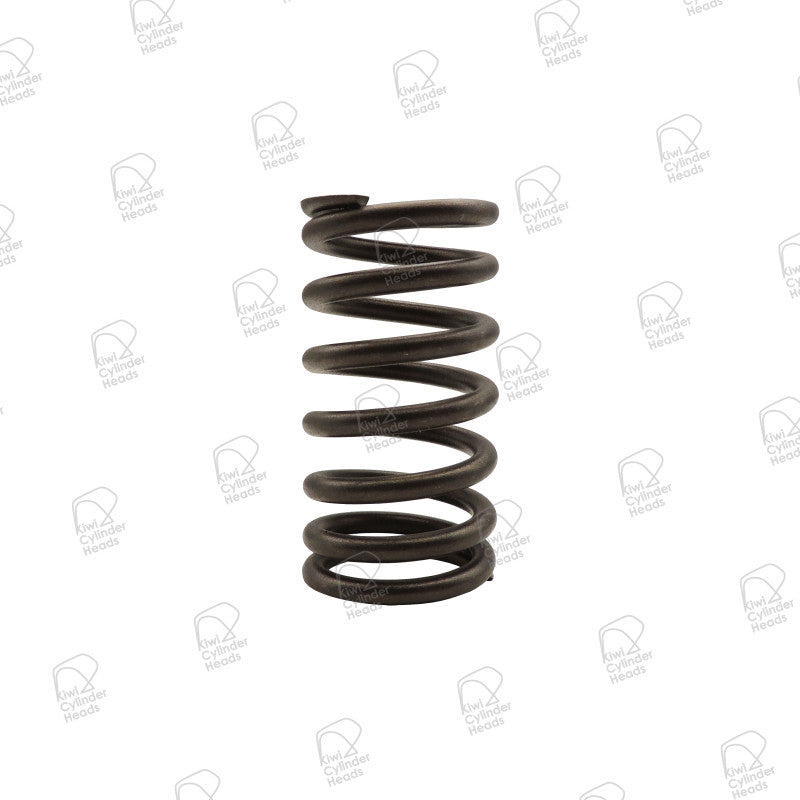 Valve Spring for Nissan TB48DE — 54060688 — view 1