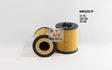 Oil Filter R2591P Fits Holden WR2591P - Wesfil