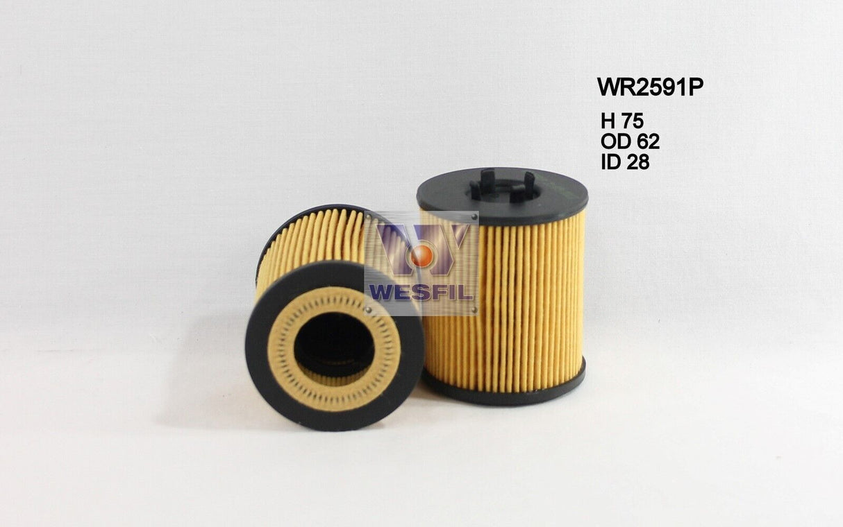 Oil Filter R2591P Fits Holden WR2591P - Wesfil