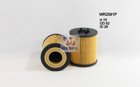 Oil Filter R2591P Fits Holden WR2591P - Wesfil