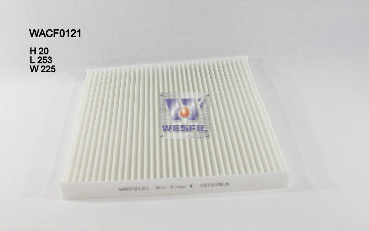 Cabin Filter RCA201P Fits Hyundai WACF0121 - Wesfil