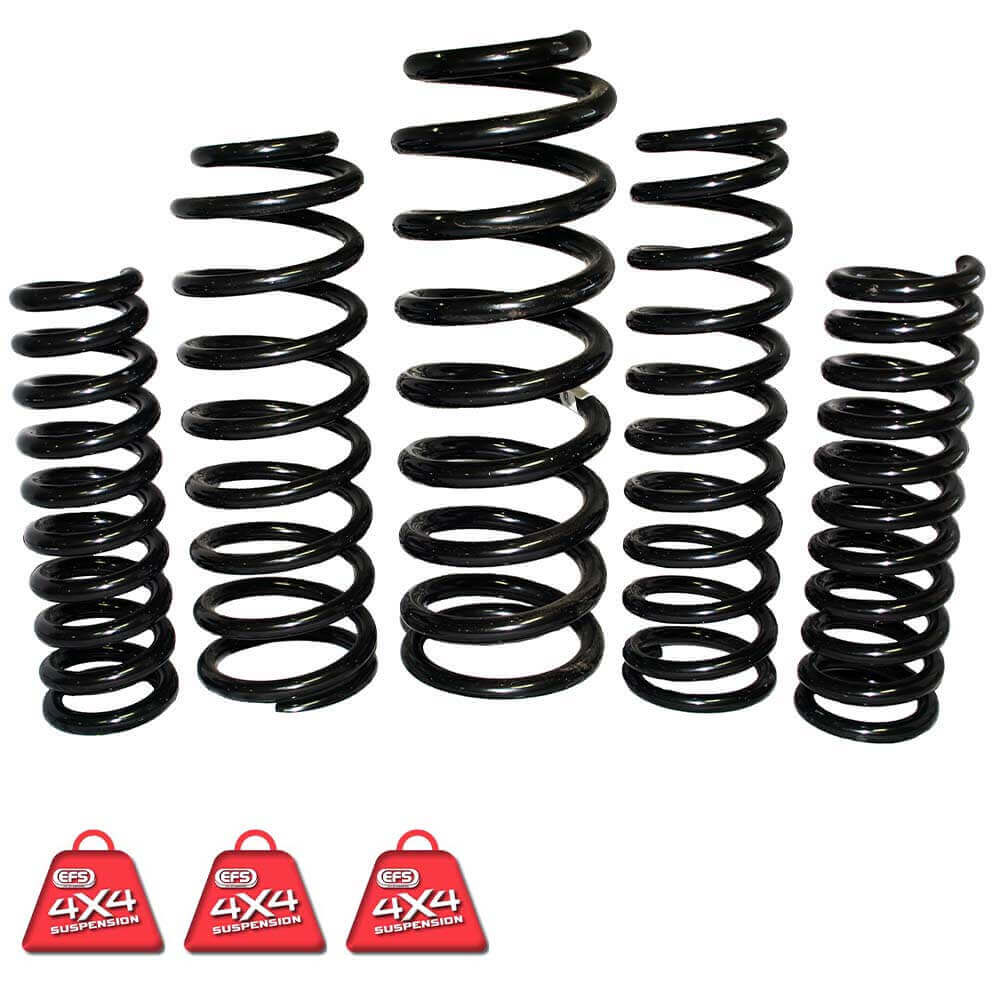 EFS COIL SPRINGS REAR | SSG-205HDE