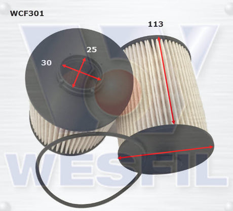 Diesel Fuel Filter R2809P Fits Foton WCF301 - Wesfil