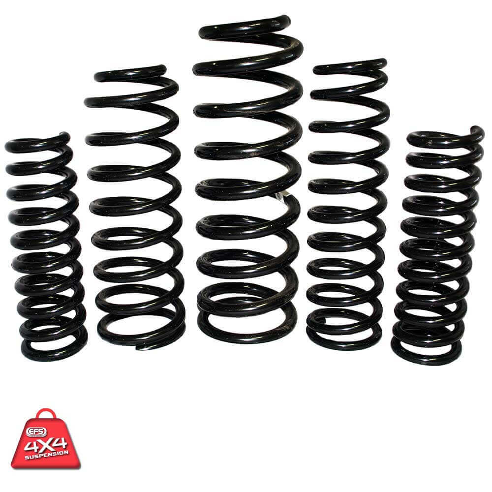 EFS COIL SPRINGS REAR | TLC-113HDE