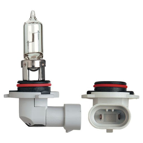 HB3 P20D Globe 12V 60W - Narva