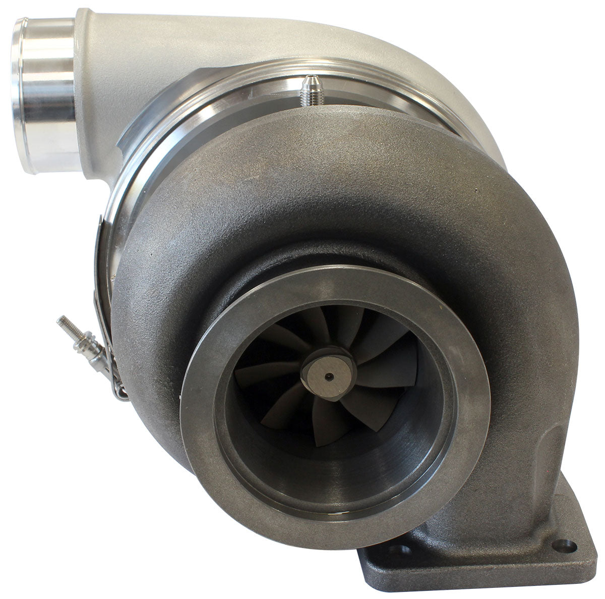 Boosted 7375 1.25 T4 V-Band Outlet G42 Natural AF8005-4042 - Aeroflow