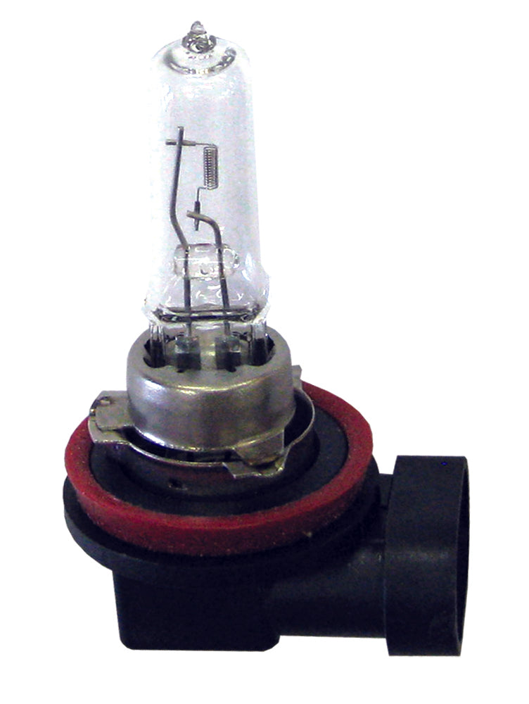 Headlamp Globes H9 65W Blister Pack Halogen - Motolite