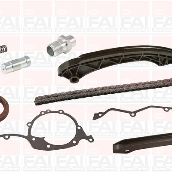 Timing Chain Kit BMW 2.0-3.0L DOHC 6CYL PETROL BMWTK04L - FAI