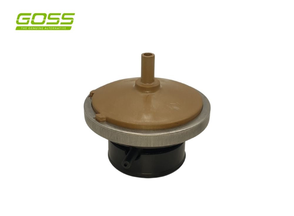 EGR Valve Toyota EV100 - Goss