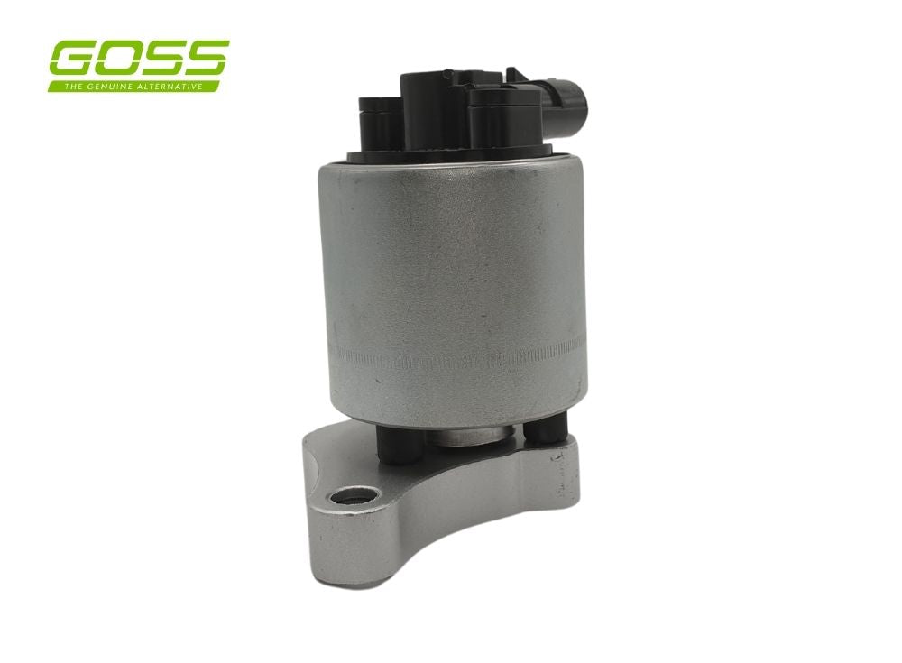 EGR Valve Holden EV103 - Goss