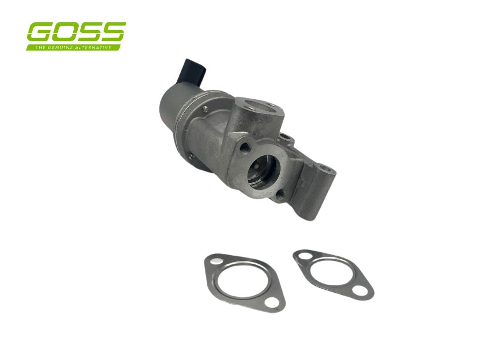 EGR Valve Hyundai - 2 Pin EV115 - Goss