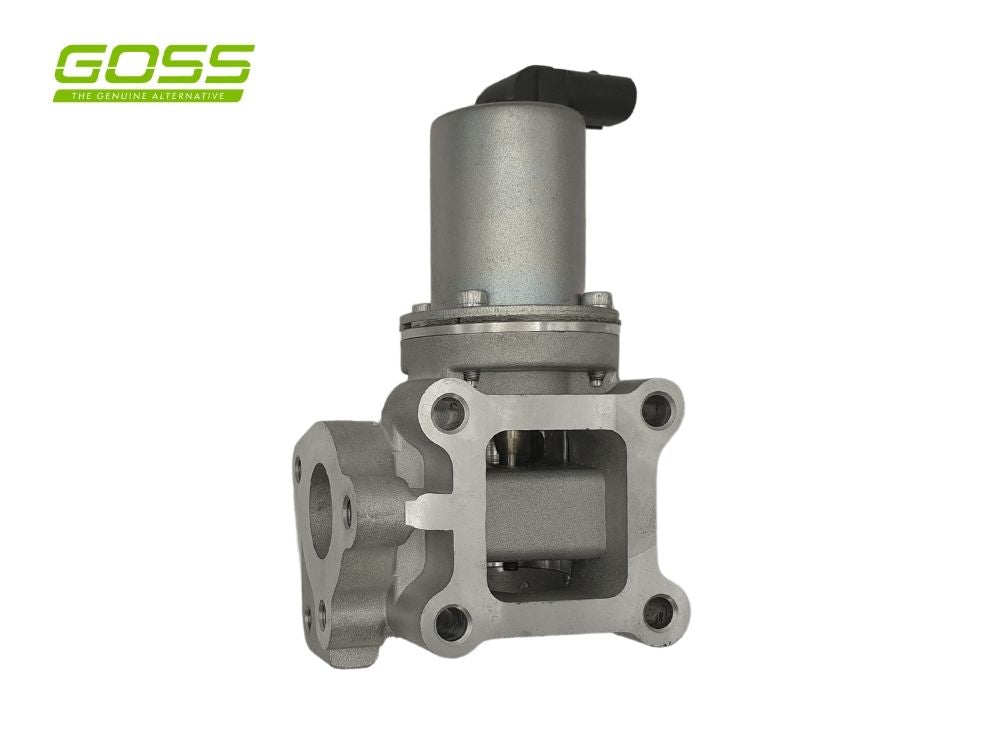 EGR Valve Hyundai/Kia EV117 - Goss