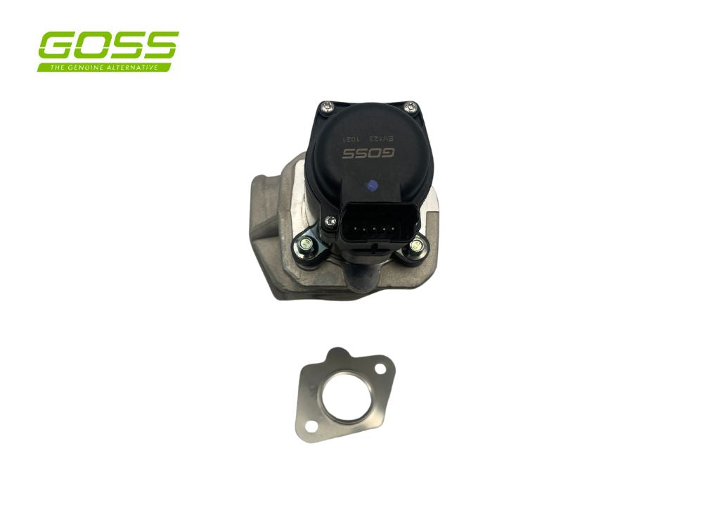 EGR Valve Citroen/Mini/Peugeot EV123 - Goss