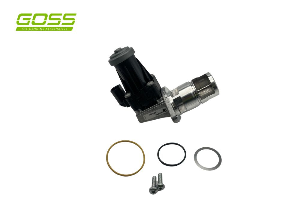EGR Valve Holden EV153 - Goss