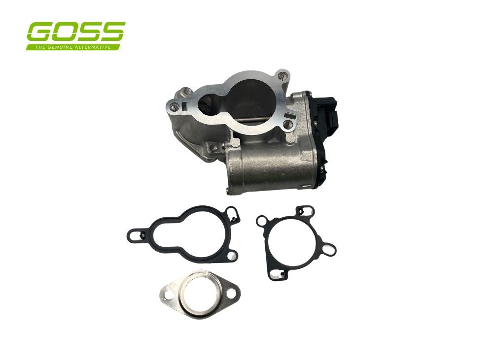 EGR Valve Nissan EV155 - Goss