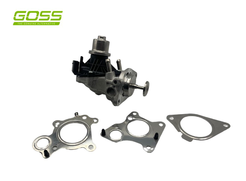 EGR Valve Bmw Mini EV166 - Goss