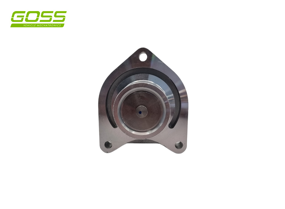 EGR Valve Holden EV176 - Goss