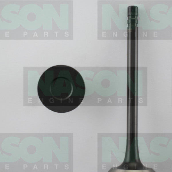 Valve Exhaust HOLDEN V8 253 308 1.479" HD EX1911 - NASON