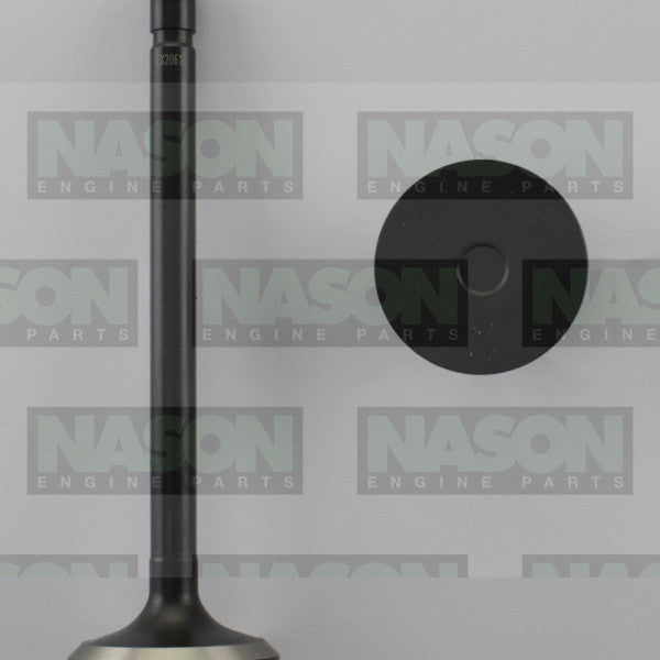 Valve Exhaust FORD 302/351 WINDSOR EX2061 - NASON