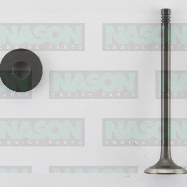 Valve Exhaust HOLDEN C16XE X16XE Z14XE EX3309ST - NASON