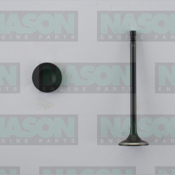 Valve Exhaust HOLDEN BARINA OPEL Z14XEP EX5023 - Nason