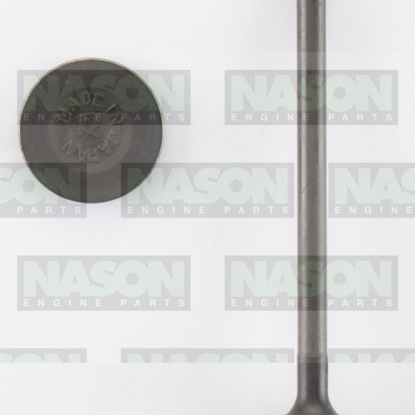 Valve Exhaust HOLDEN JACKEROO 6VD1 DOHC 24V EX5214 - NASON