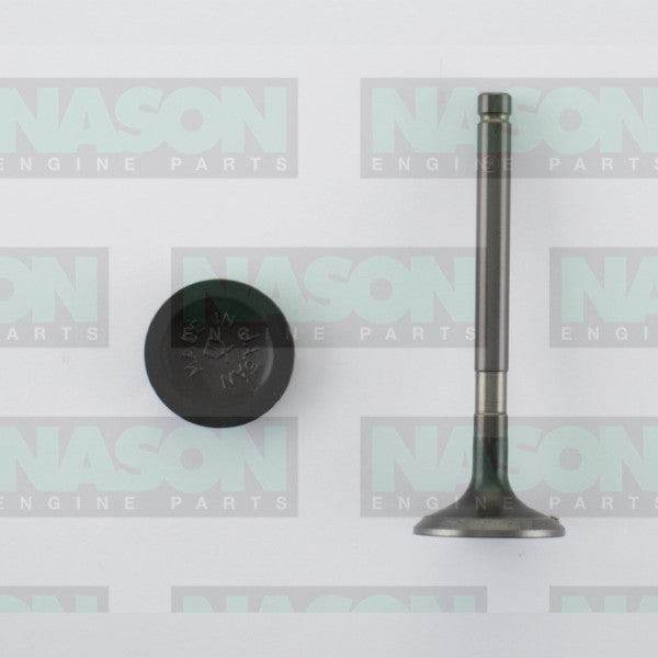 Valve Exhaust TOYOTA 1RZ CYL EXH EX5580 - NASON