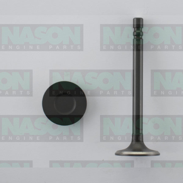 Valve Exhaust HOLDEN 6 BLUE 1.48 HD EX7511 - NASON