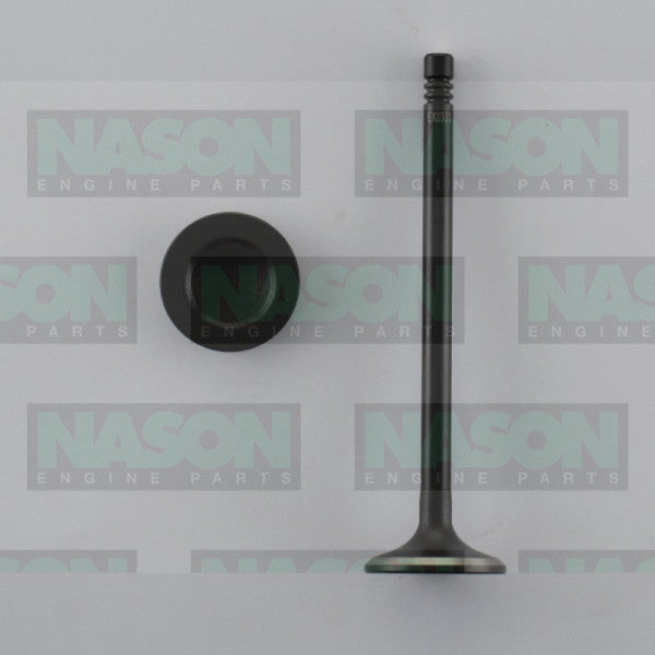 Valve Exhaust HOLDEN/DAEWOO F18D3 EX8931 - NASON