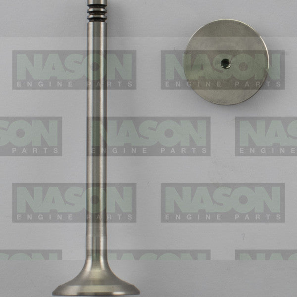 Valve Exhaust VW Audi BKD DOHC 16V EX8973 - FAI