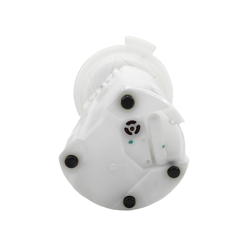 Electric Fuel Pump Assembly Fit For Ford Falcon BF FG FG-X Fairmont BF - Machter