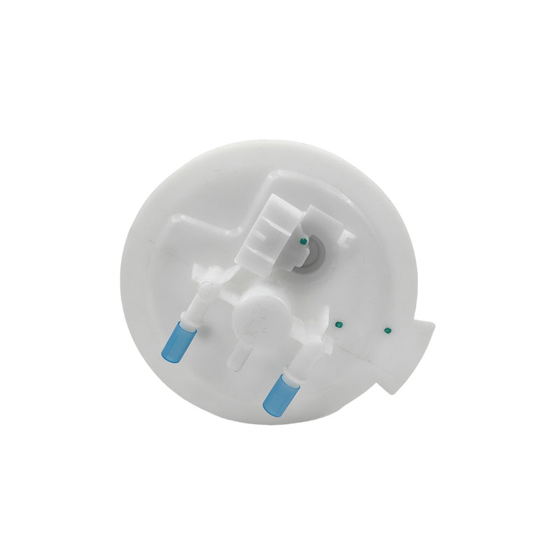 Electric Fuel Pump Assembly Fit For Ford Falcon BF FG FG-X Fairmont BF - Machter