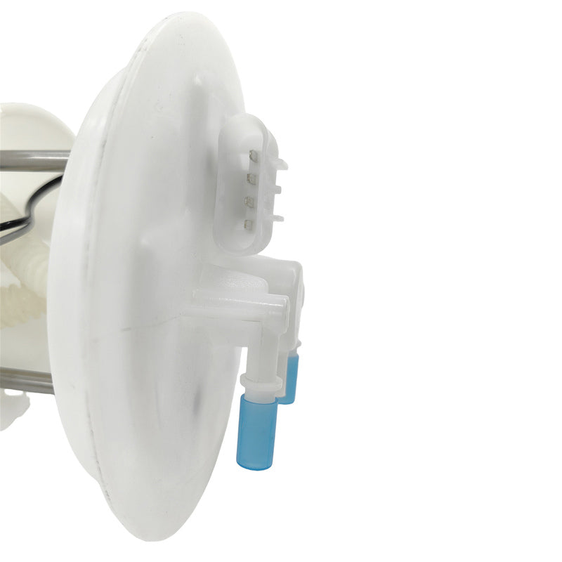 Electric Fuel Pump Assembly Fit For Ford Falcon BF FG FG-X Fairmont BF - Machter