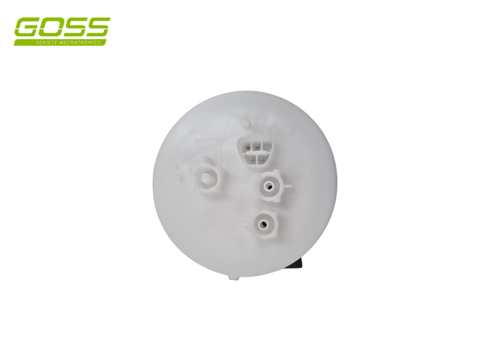 Fuel Pump Module GE648 - Goss