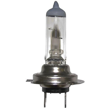 Globe H7 55W Blister - AUTOKING