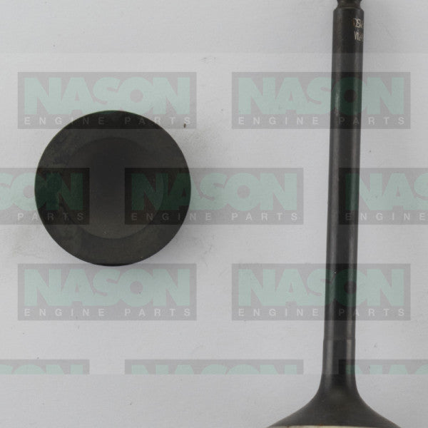 Valve Inlet SSANGYONG MB111 DOHC 4V 161 IN1249 - NASON
