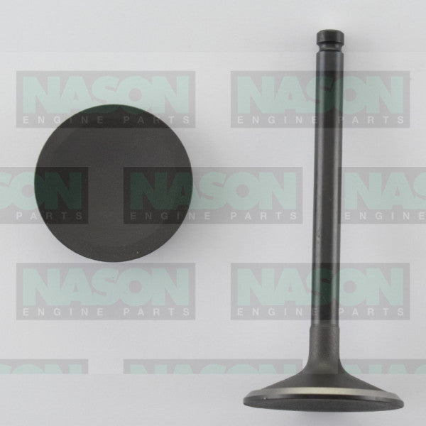 Valve Inlet JAGUAR 3.4 3.8 4.2 IN1570 - NASON