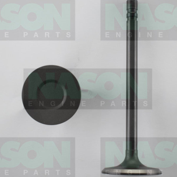 Valve Inlet HOLDEN V8 253 308 1.76" HD IN1910 - NASON